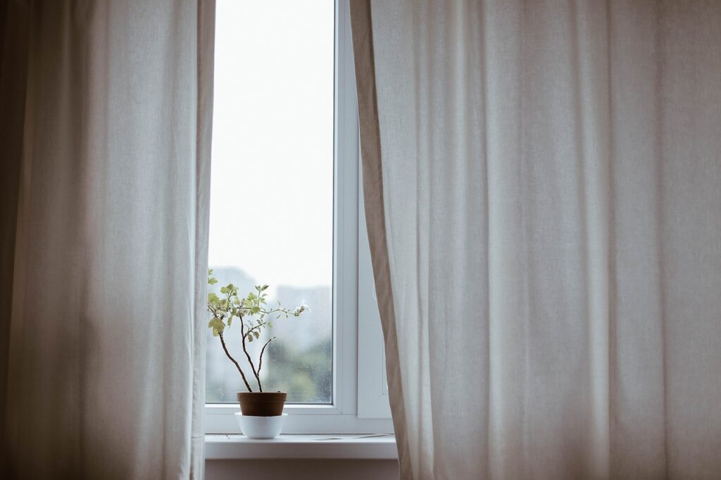 curtains, decoration, indoors, plant, potted plant, window, minimalist, nature, minimalistic, interior decoration, indoor plant, curtains, curtains, window, window, window, window, window, minimalist